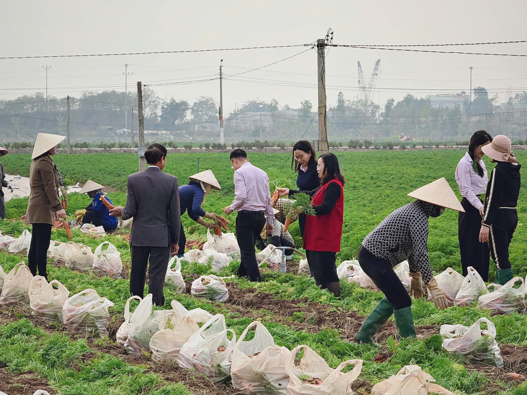 Vốn tín dụng chính sách, tạo việc làm, tăng thu nhập cho lao động nông thôn