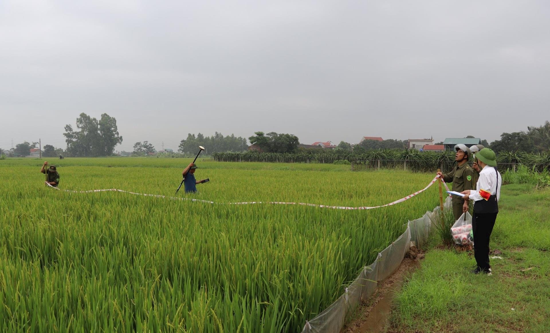 cuong-che-thu-hoi-4-(1).jpg