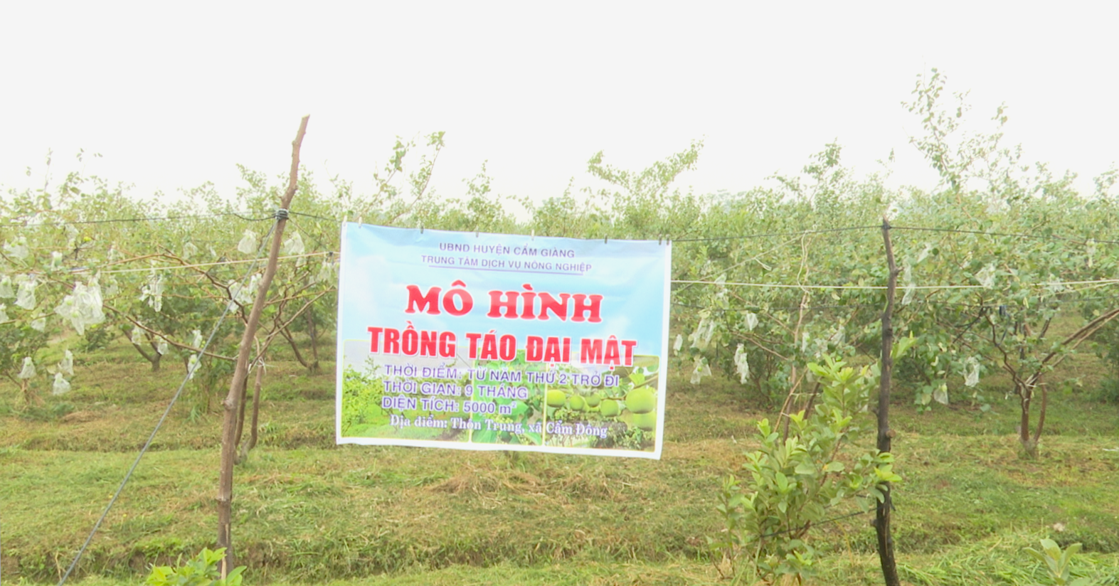 Screenshot (1310).png